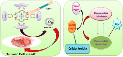 Symmetrically Substituted Zn and Al Phthalocyanines and Polymers for Photodynamic Therapy Application